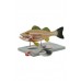 Fish Dissection Model, 5-parts