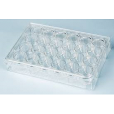 Tissue culture plate (24well), Sterilized 