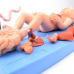 Fetal Blood Circulation