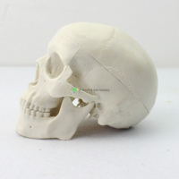 Mini Skull