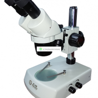 Stereo microscope (LED)