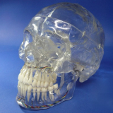 Crystal Human Skull, 3 parts
